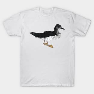 Manx Shearwater (standing) T-Shirt